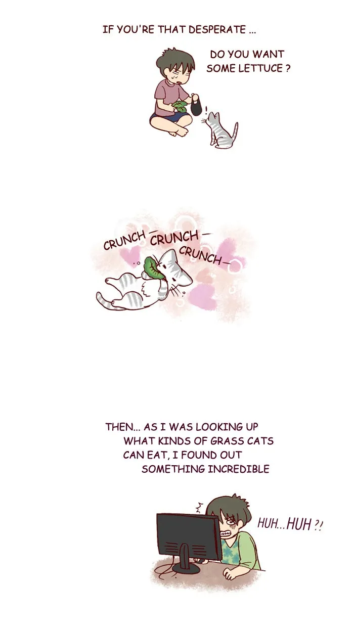 My Kitty and Old Dog Chapter 163 page 5 - 