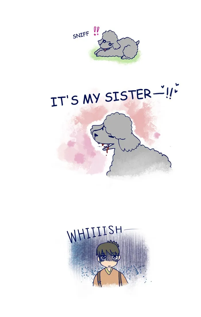 My Kitty and Old Dog Chapter 165 page 2 - 