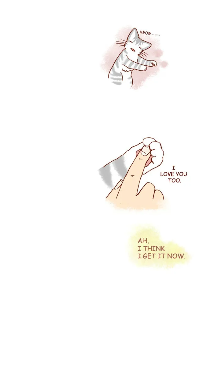 My Kitty and Old Dog Chapter 166 page 6 - 