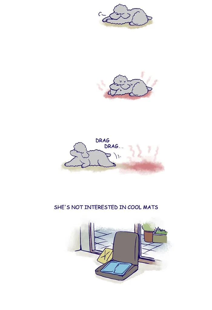 My Kitty and Old Dog Chapter 167 page 2 - 