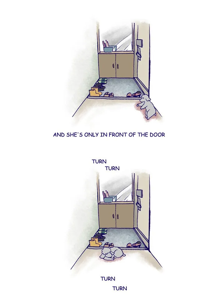 My Kitty and Old Dog Chapter 167 page 3 - 