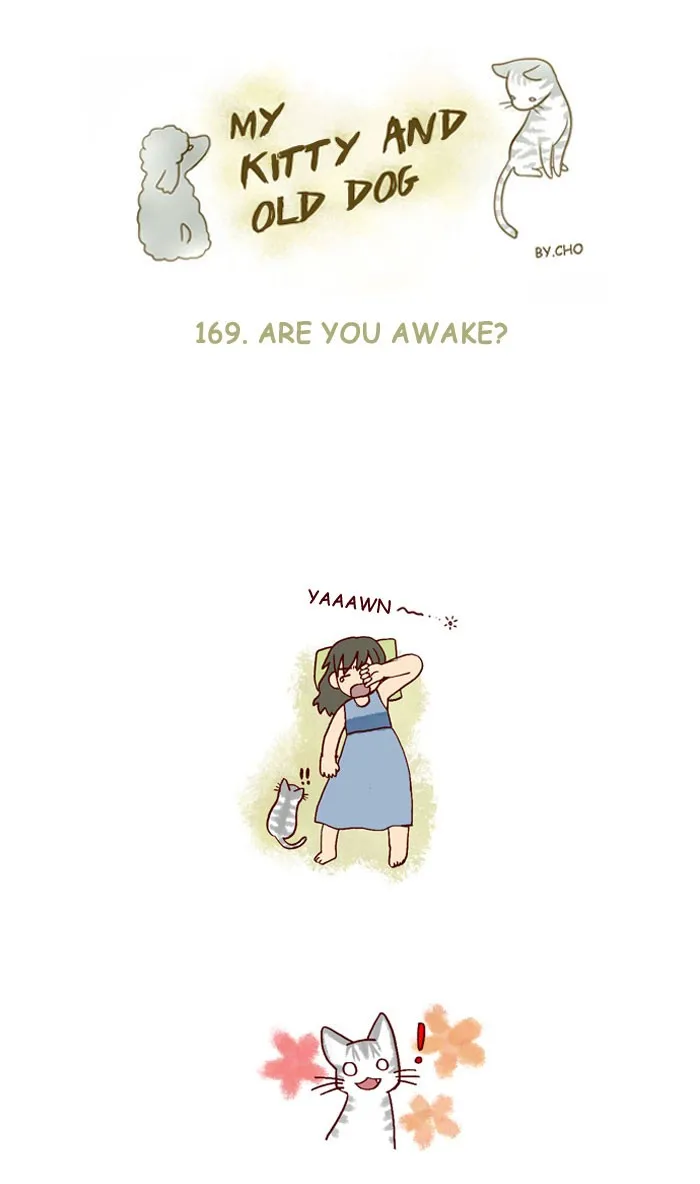 My Kitty and Old Dog Chapter 169 page 1 - 
