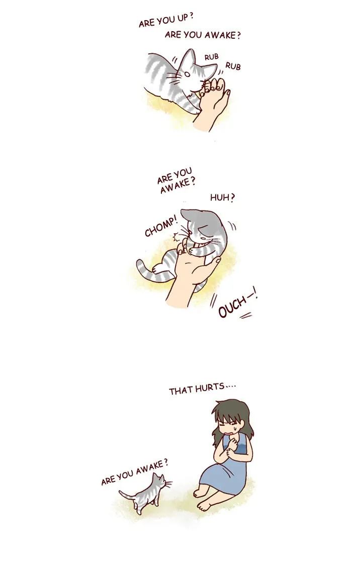 My Kitty and Old Dog Chapter 169 page 2 - 