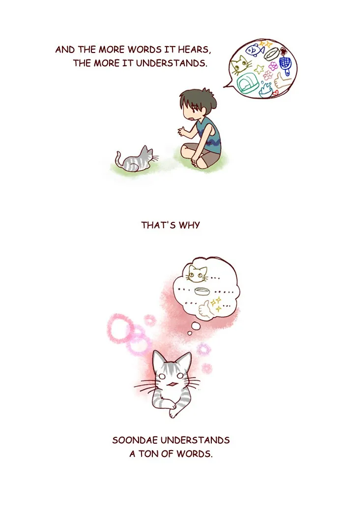 My Kitty and Old Dog Chapter 172 page 2 - 