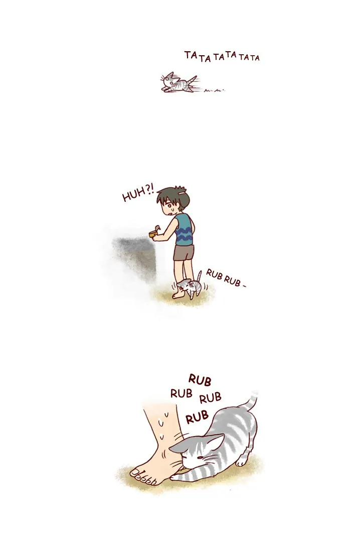 My Kitty and Old Dog Chapter 172 page 4 - 
