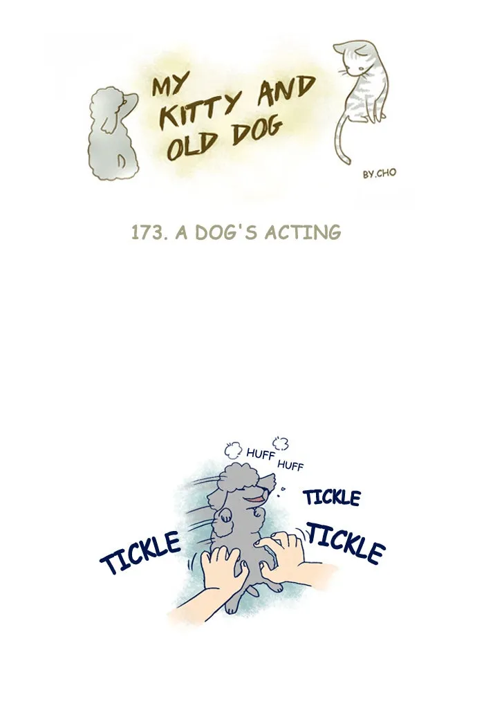 My Kitty and Old Dog Chapter 173 page 1 - 