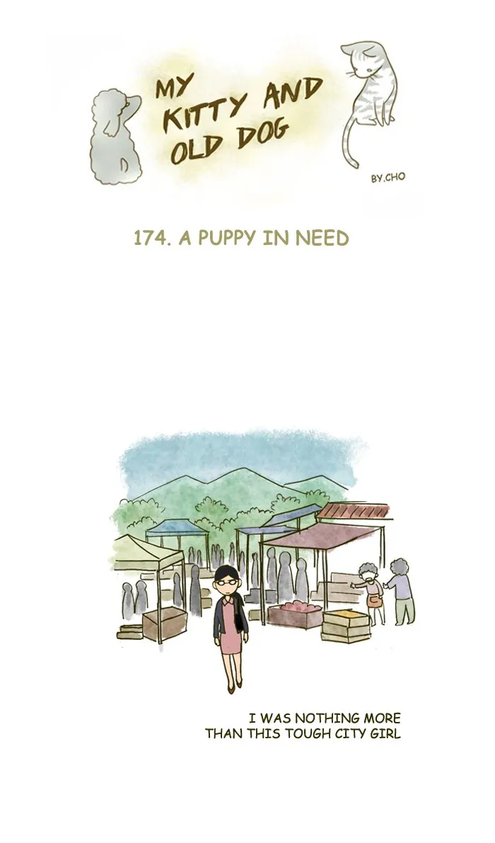 My Kitty and Old Dog Chapter 174 page 1 - 