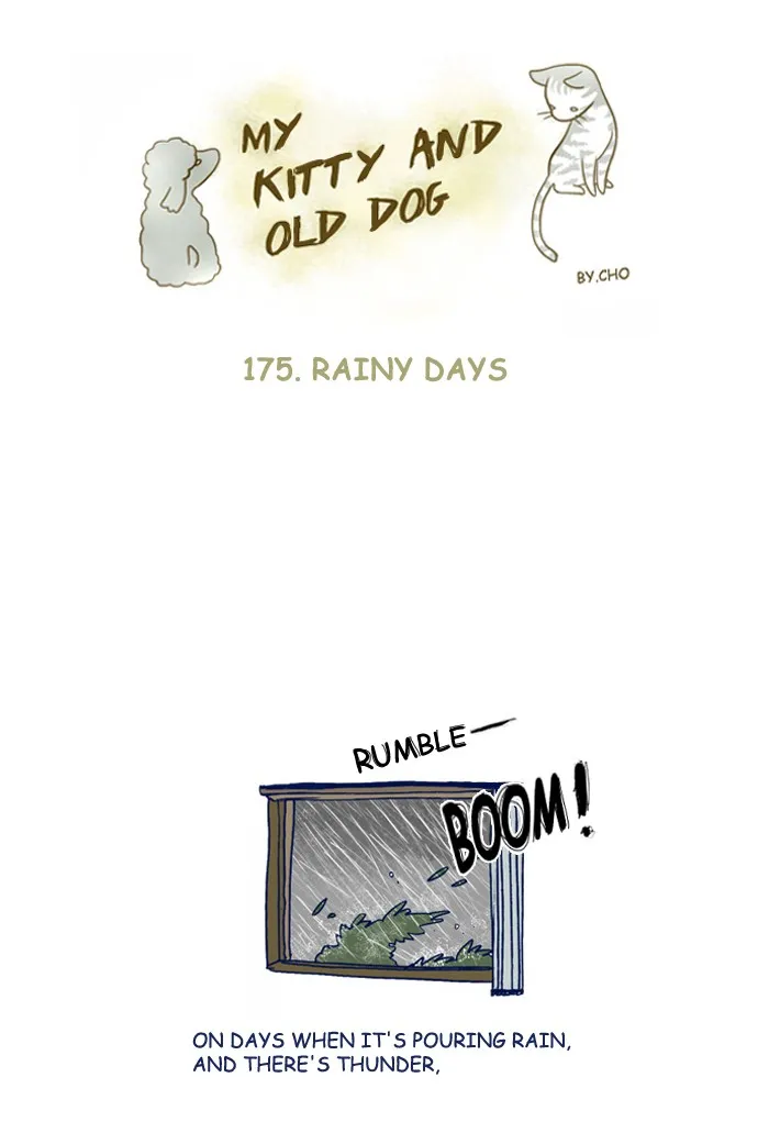 My Kitty and Old Dog Chapter 175 page 1 - 