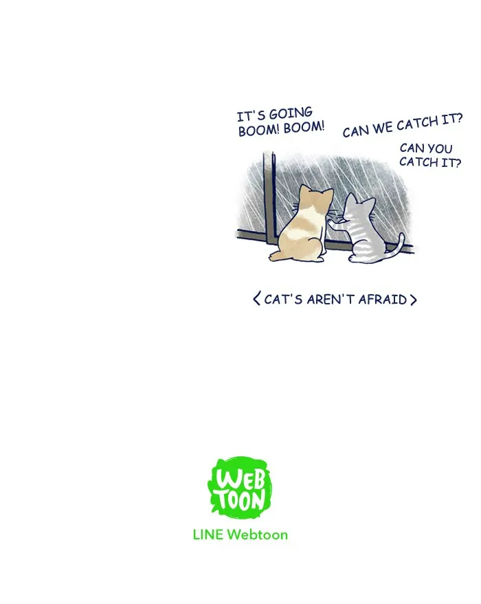 My Kitty and Old Dog Chapter 175 page 5 - 