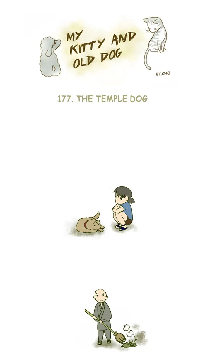 My Kitty and Old Dog Chapter 177 page 1 - 