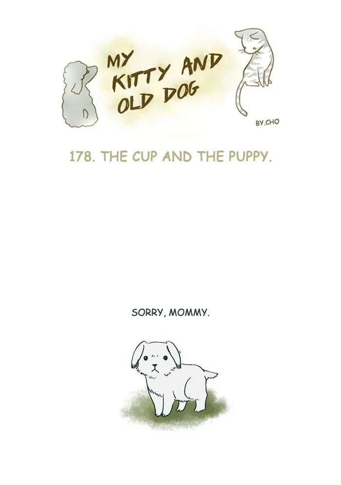 My Kitty and Old Dog Chapter 178 page 1 - 