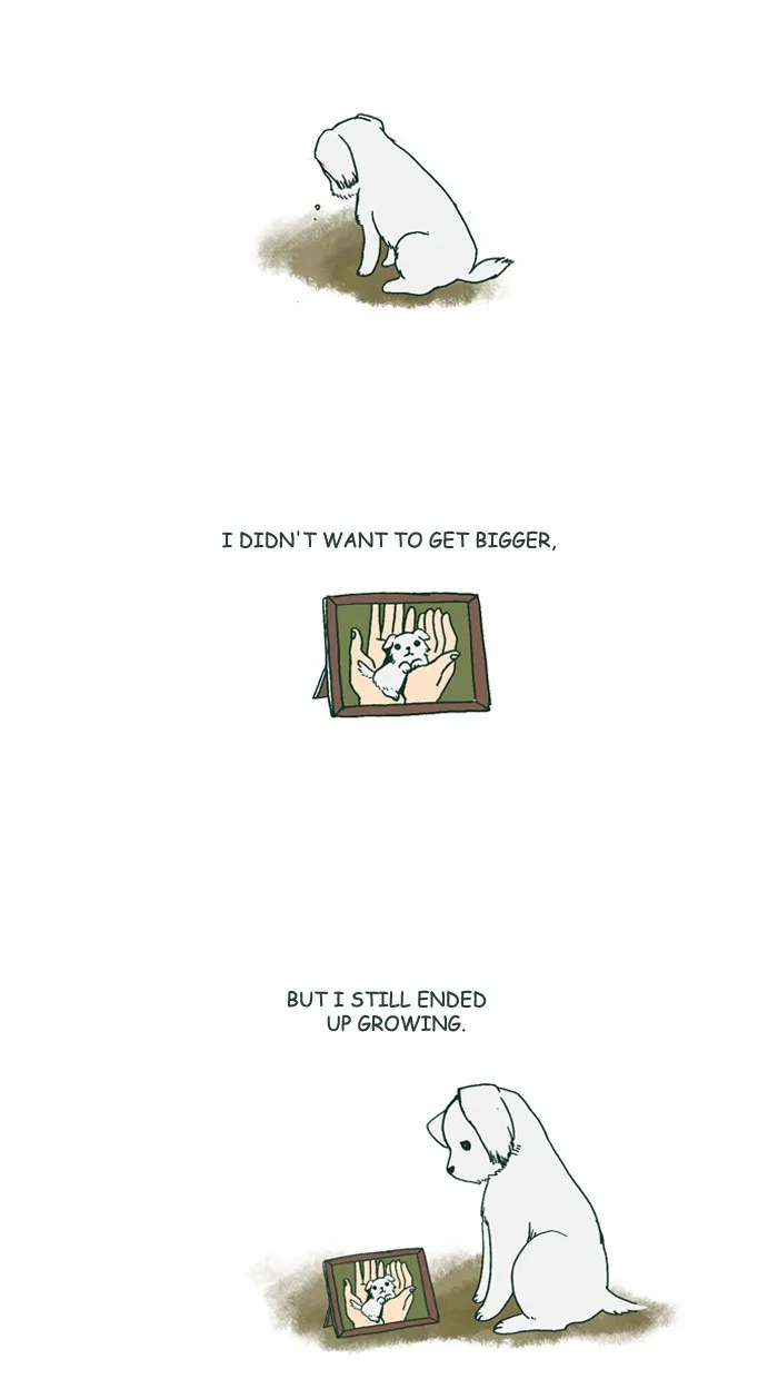 My Kitty and Old Dog Chapter 178 page 2 - 