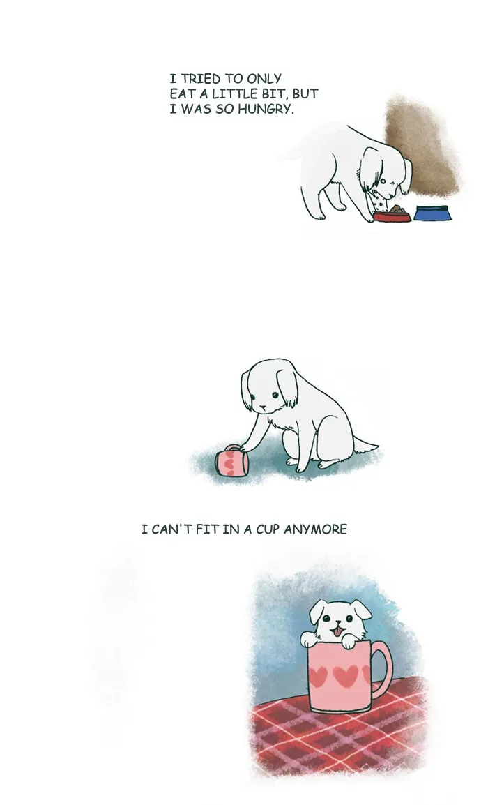 My Kitty and Old Dog Chapter 178 page 3 - 
