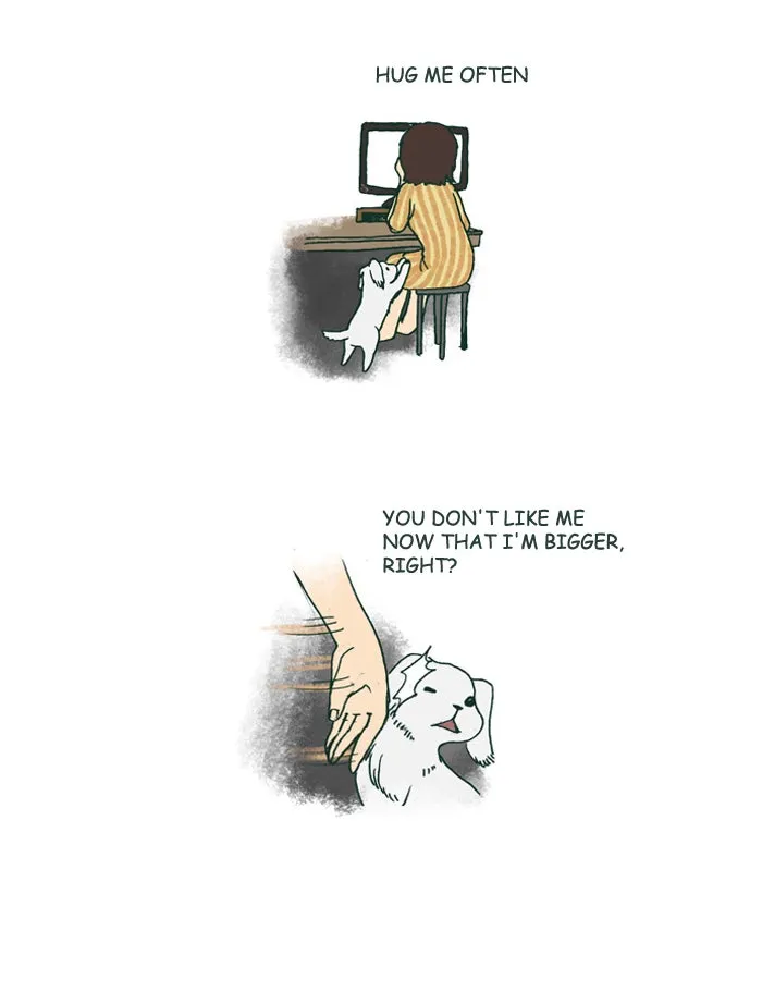 My Kitty and Old Dog Chapter 178 page 5 - 