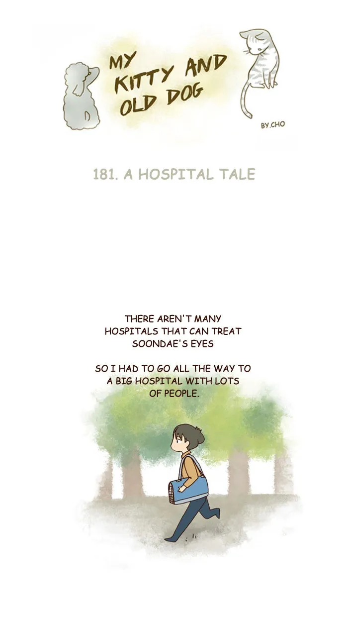 My Kitty and Old Dog Chapter 181 page 1 - 