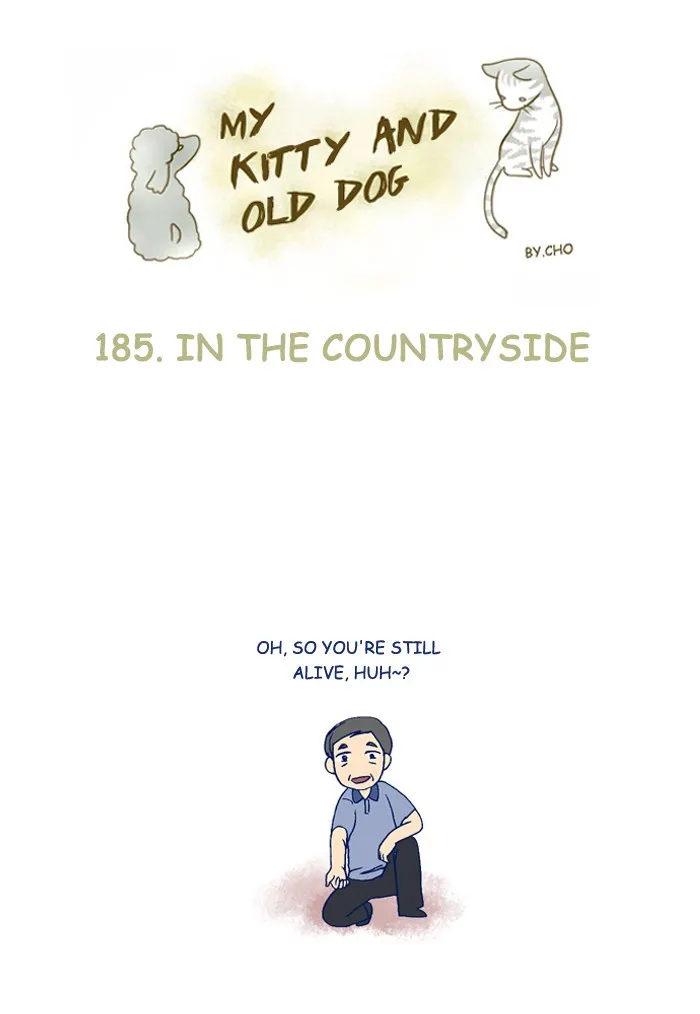 My Kitty and Old Dog Chapter 185 page 1 - 