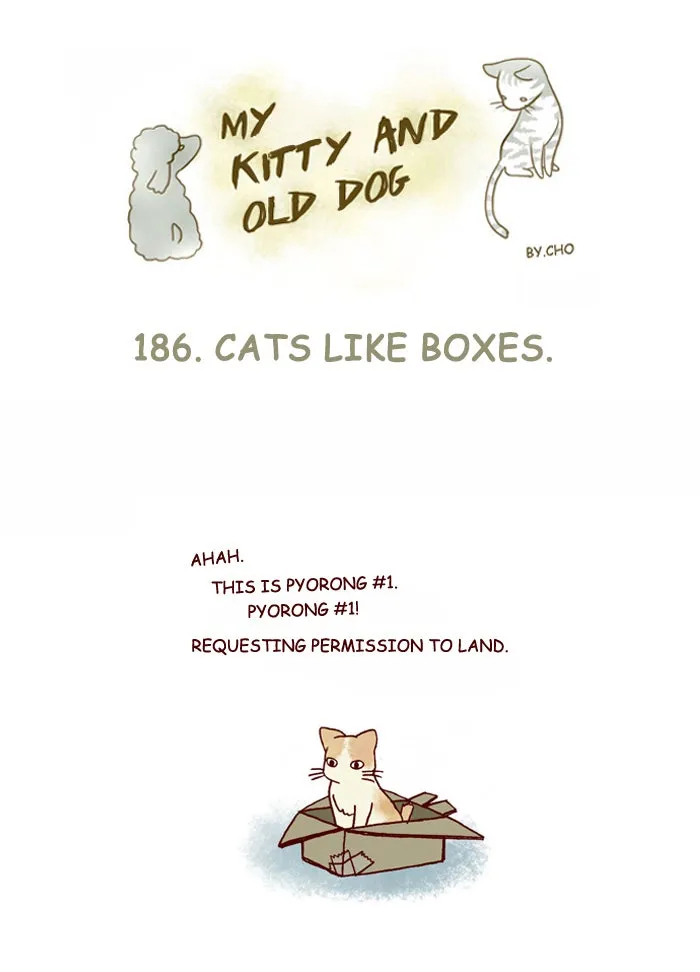 My Kitty and Old Dog Chapter 186 page 1 - 