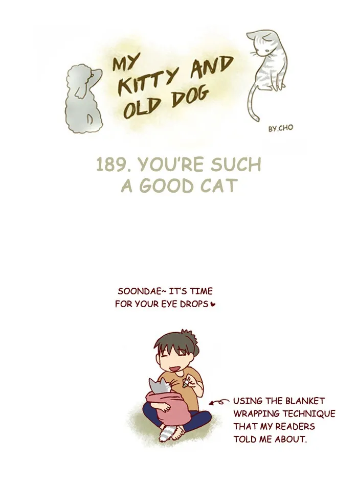 My Kitty and Old Dog Chapter 189 page 1 - 