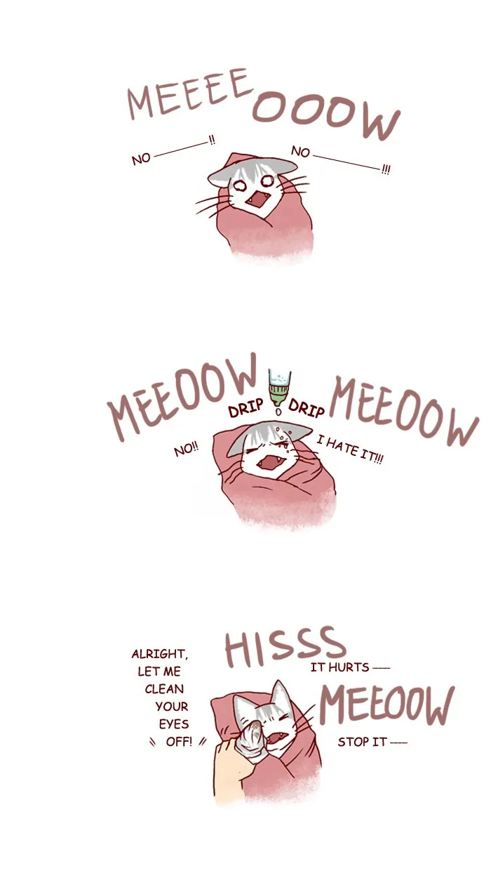 My Kitty and Old Dog Chapter 189 page 2 - 