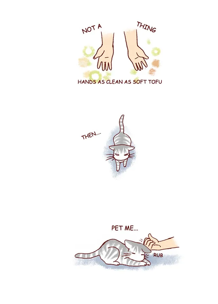 My Kitty and Old Dog Chapter 189 page 6 - 