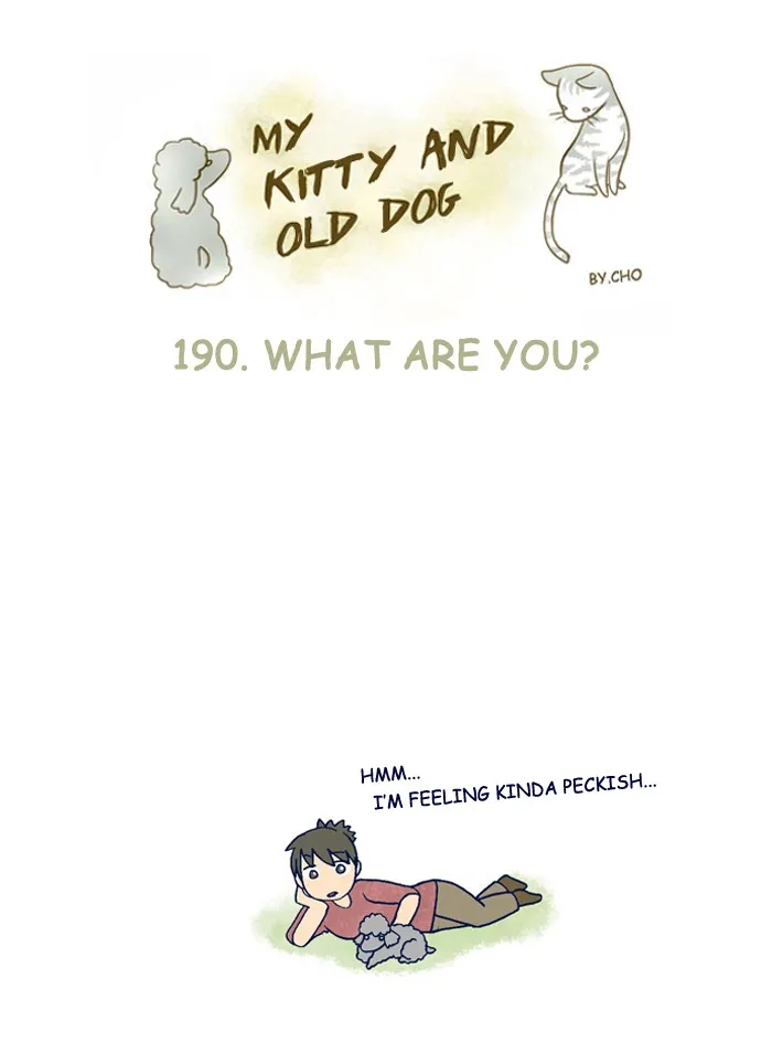 My Kitty and Old Dog Chapter 190 page 1 - 