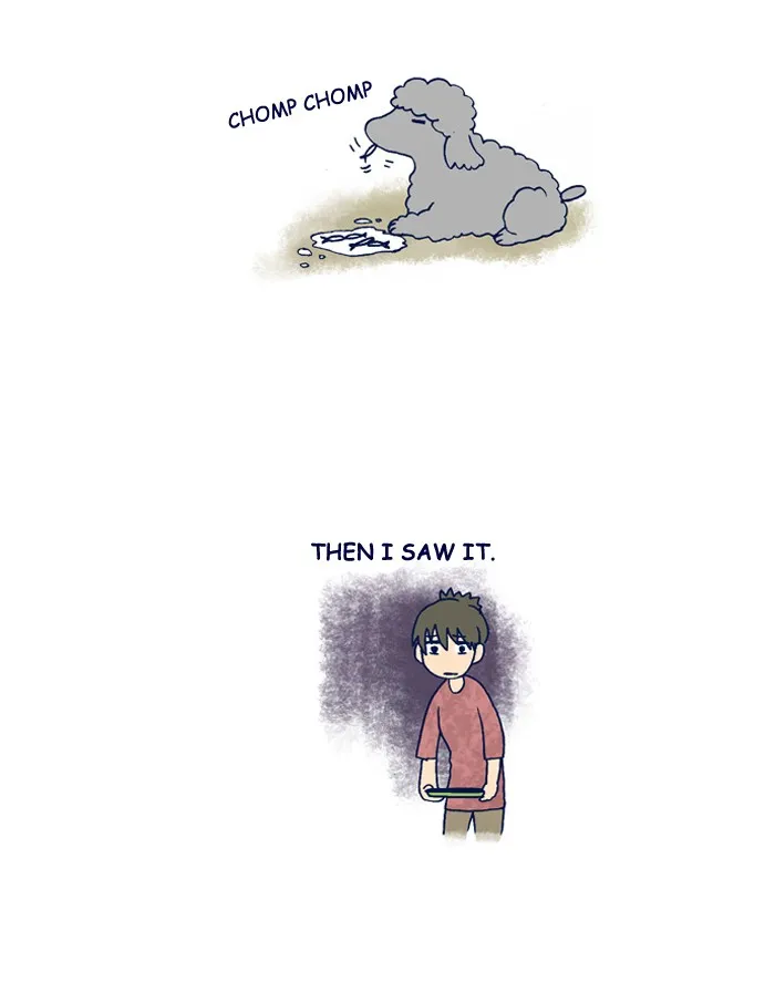 My Kitty and Old Dog Chapter 190 page 6 - 