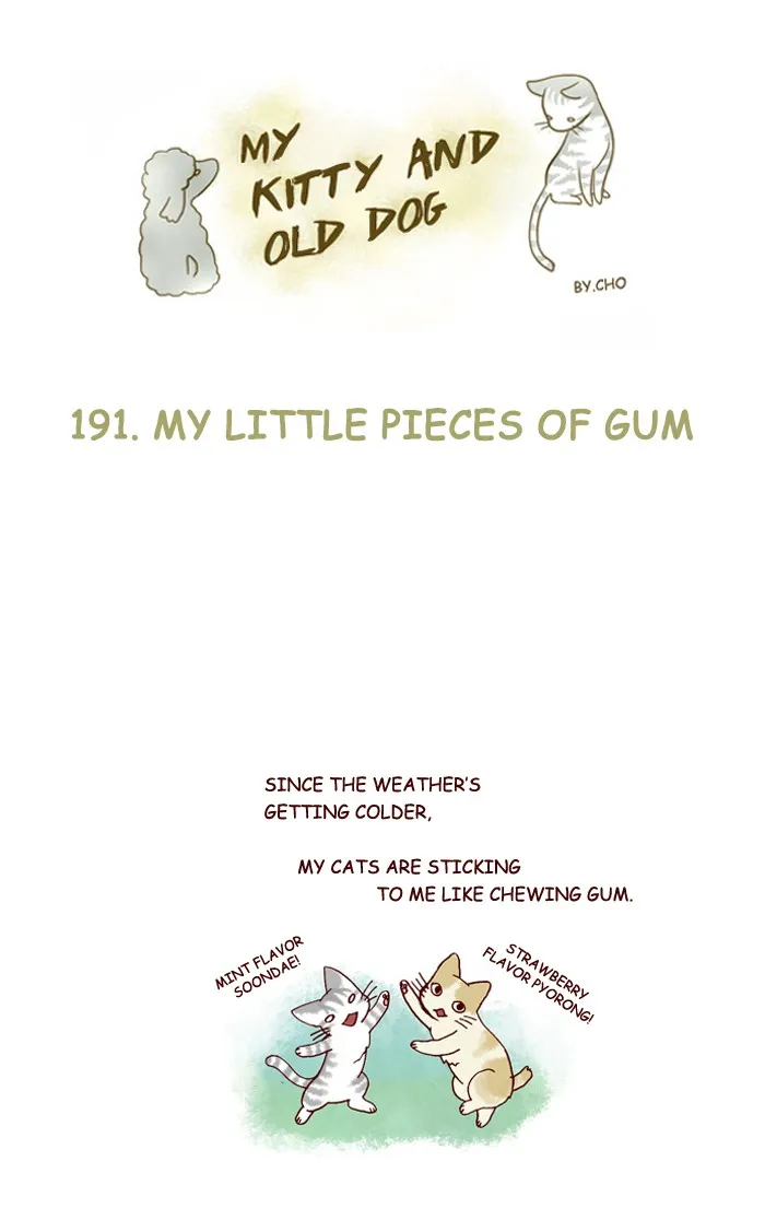 My Kitty and Old Dog Chapter 191 page 1 - 