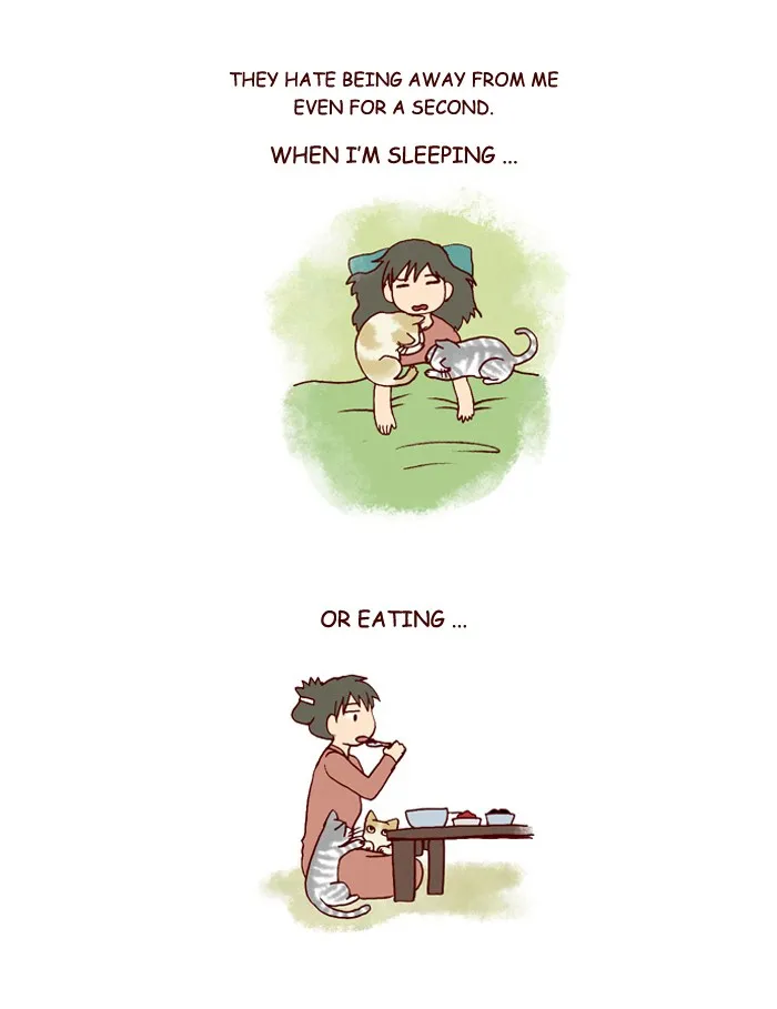 My Kitty and Old Dog Chapter 191 page 2 - 
