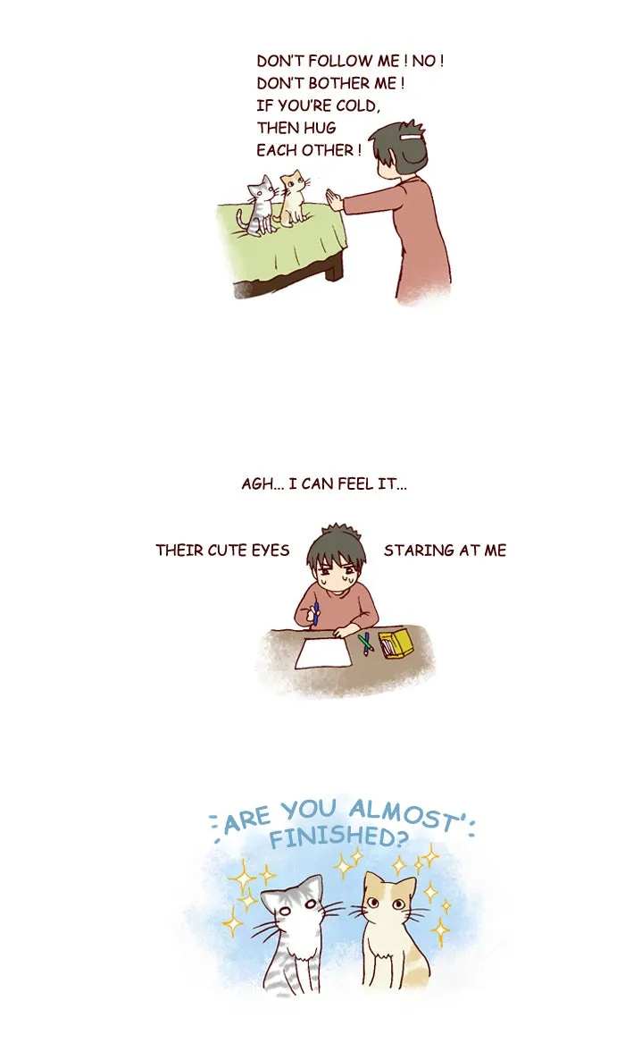 My Kitty and Old Dog Chapter 191 page 5 - 
