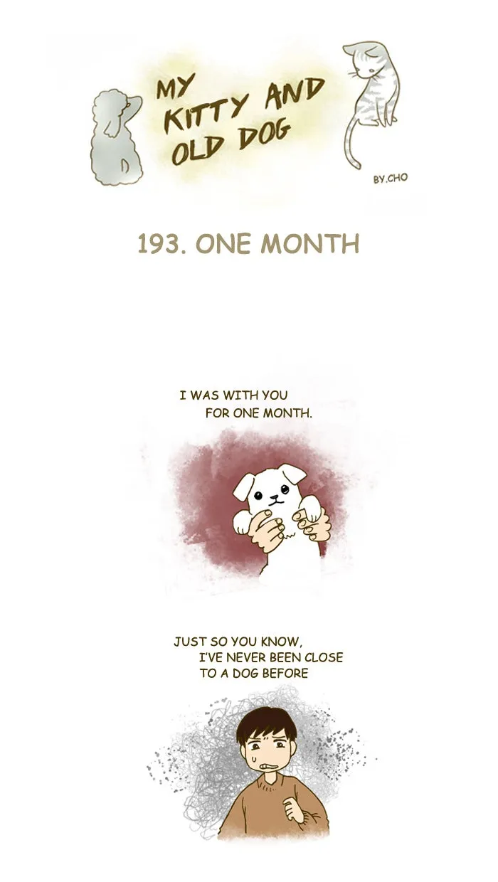 My Kitty and Old Dog Chapter 193 page 1 - 