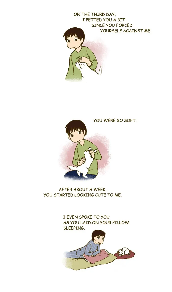 My Kitty and Old Dog Chapter 193 page 3 - 