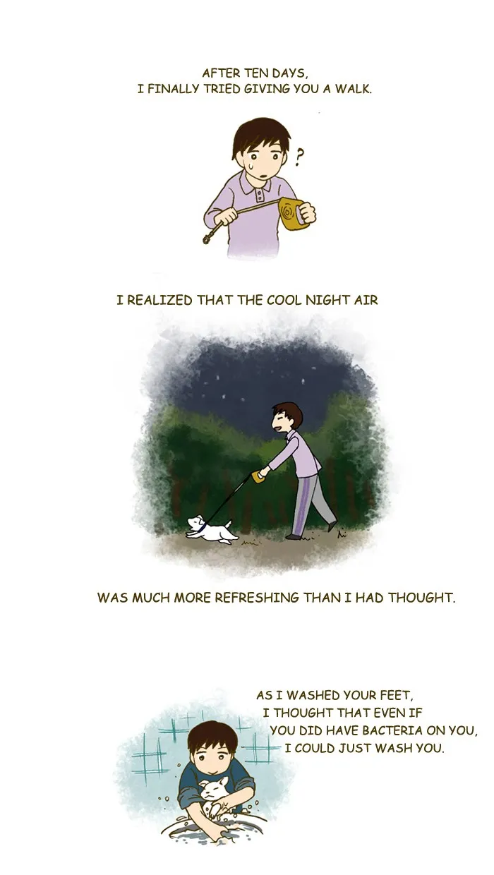 My Kitty and Old Dog Chapter 193 page 4 - 