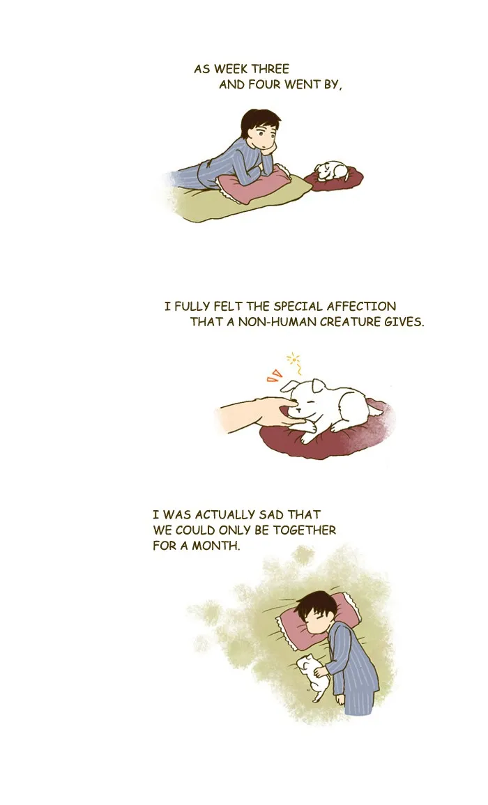 My Kitty and Old Dog Chapter 193 page 5 - 