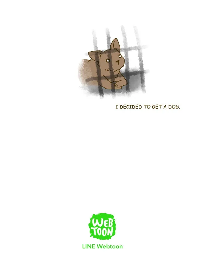My Kitty and Old Dog Chapter 193 page 8 - 