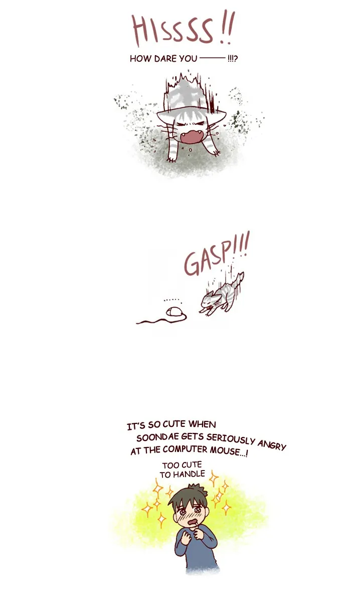 My Kitty and Old Dog Chapter 195 page 5 - 