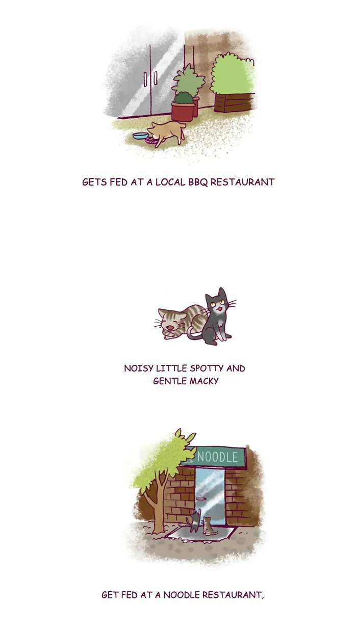 My Kitty and Old Dog Chapter 197 page 2 - 