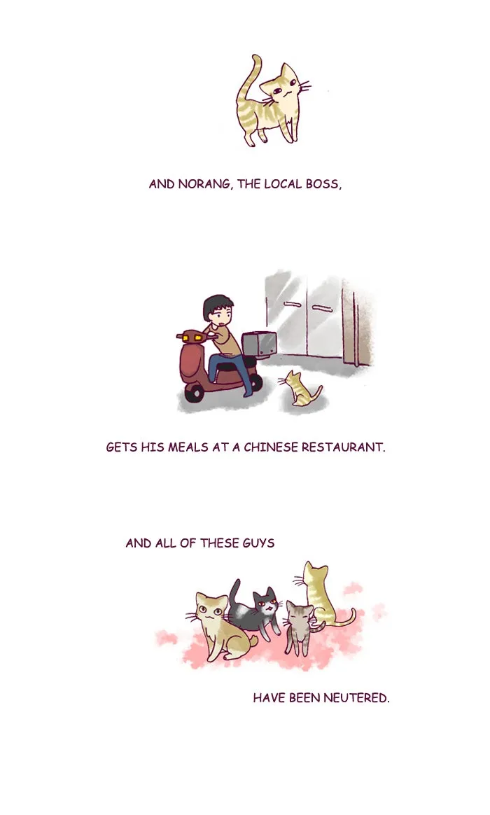 My Kitty and Old Dog Chapter 197 page 3 - 