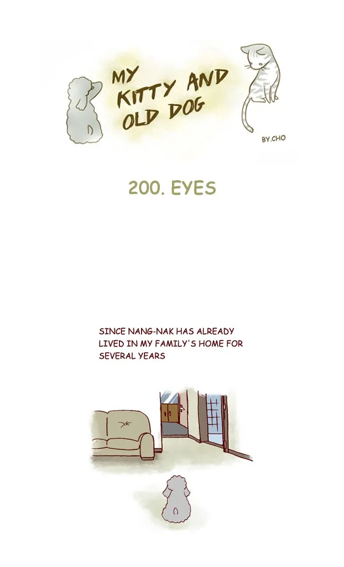 My Kitty and Old Dog Chapter 200 page 1 - 