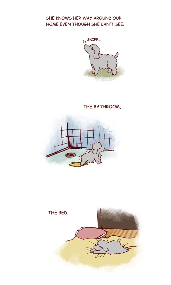 My Kitty and Old Dog Chapter 200 page 2 - 