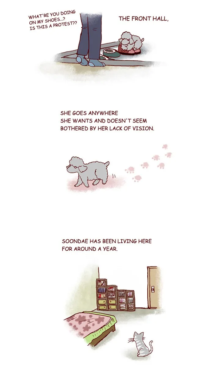 My Kitty and Old Dog Chapter 200 page 3 - 