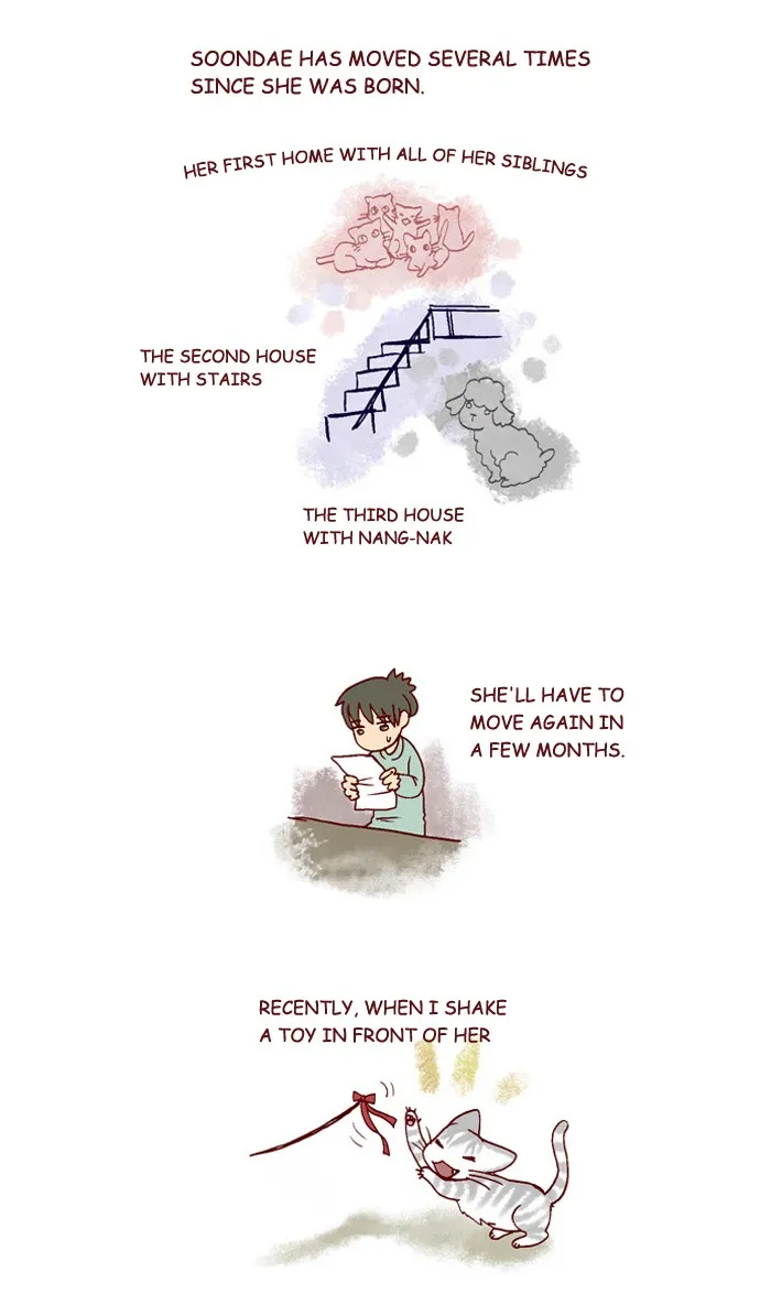 My Kitty and Old Dog Chapter 200 page 4 - 