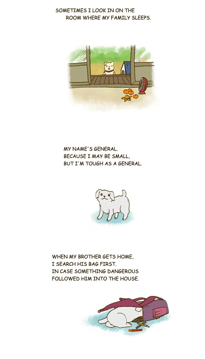 My Kitty and Old Dog Chapter 201 page 2 - 