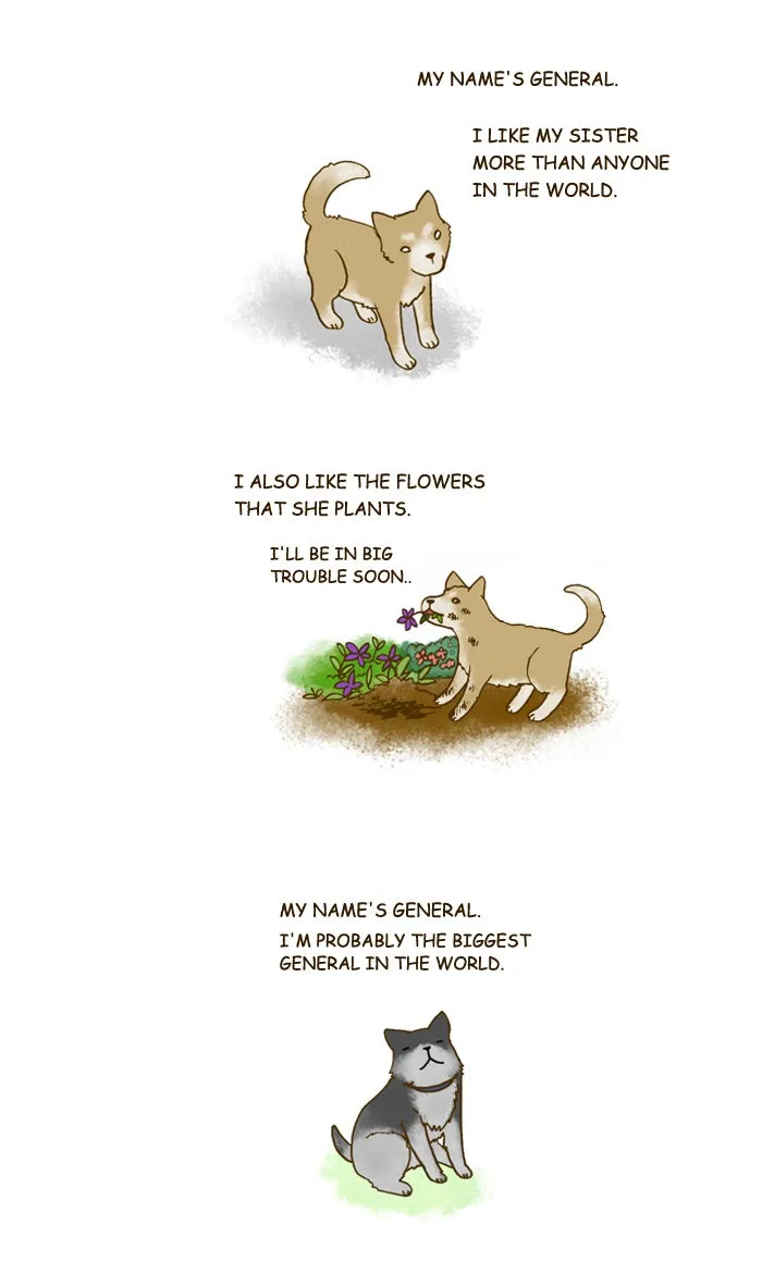 My Kitty and Old Dog Chapter 201 page 3 - 