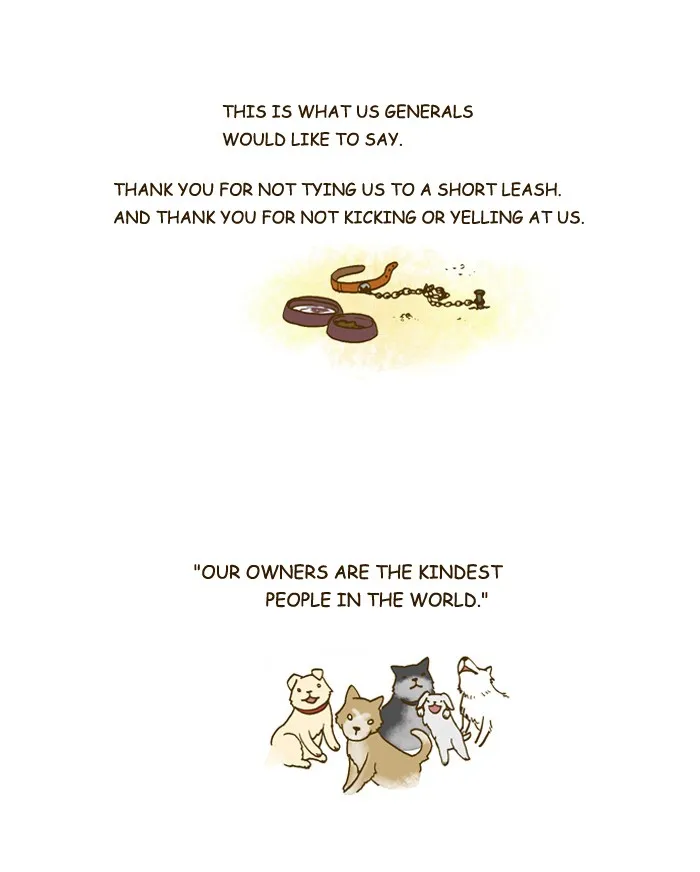 My Kitty and Old Dog Chapter 201 page 5 - 