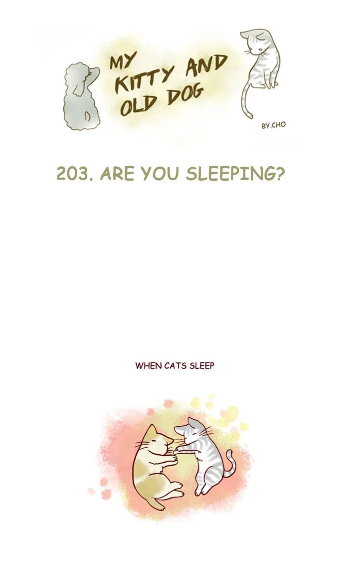 My Kitty and Old Dog Chapter 203 page 1 - 