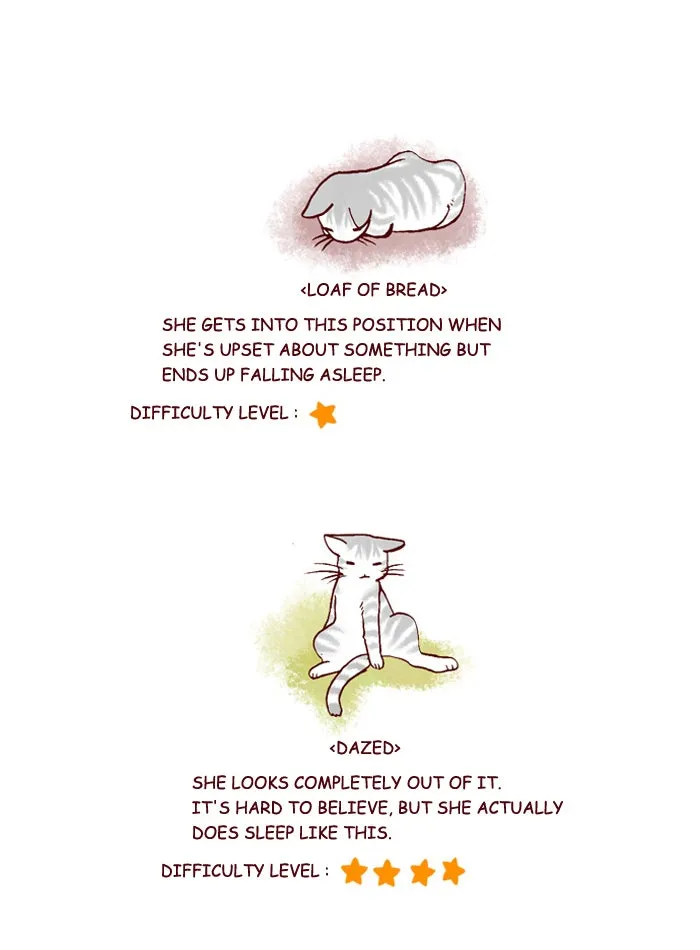 My Kitty and Old Dog Chapter 203 page 4 - 