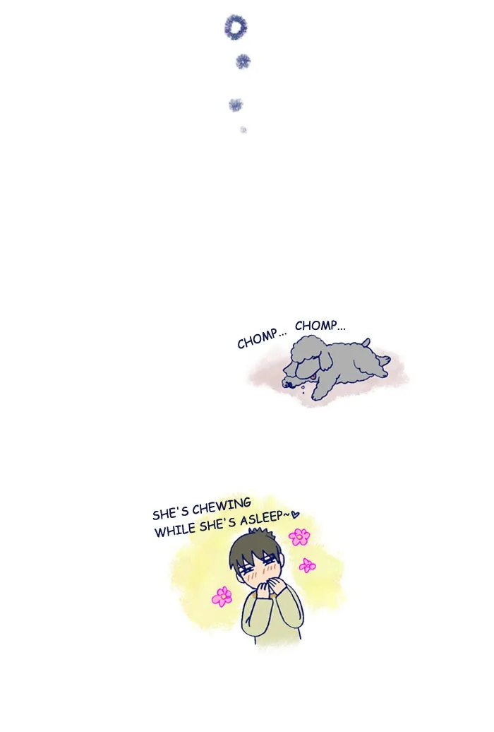 My Kitty and Old Dog Chapter 204 page 5 - 