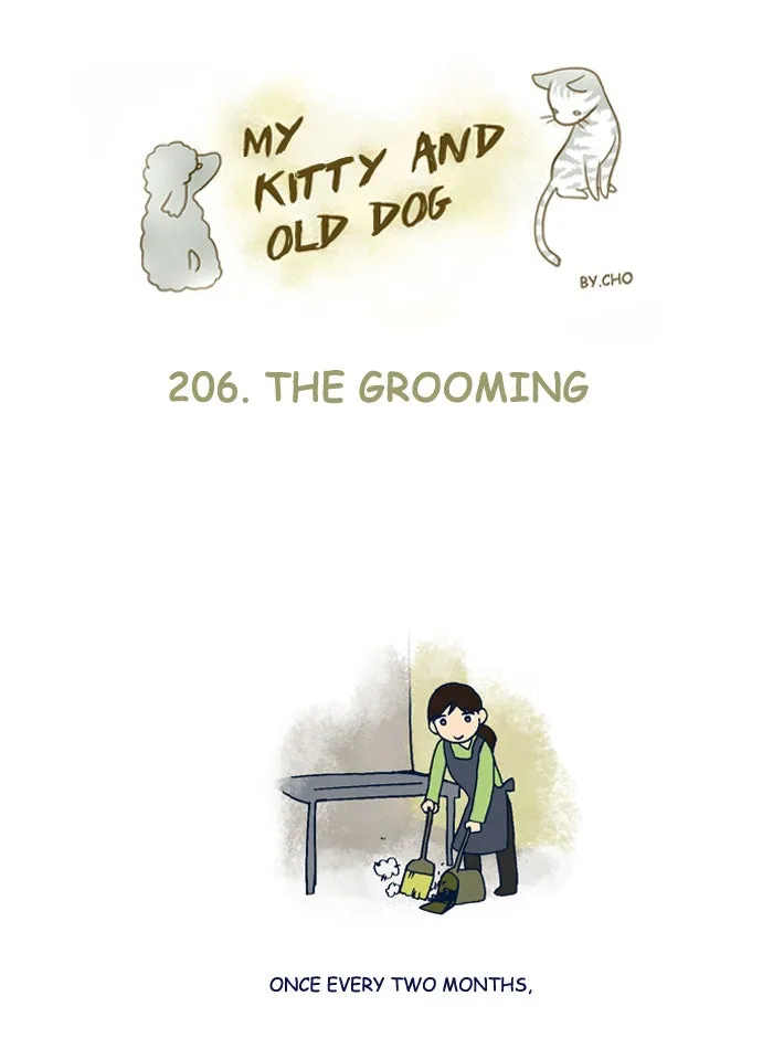 My Kitty and Old Dog Chapter 206 page 1 - 