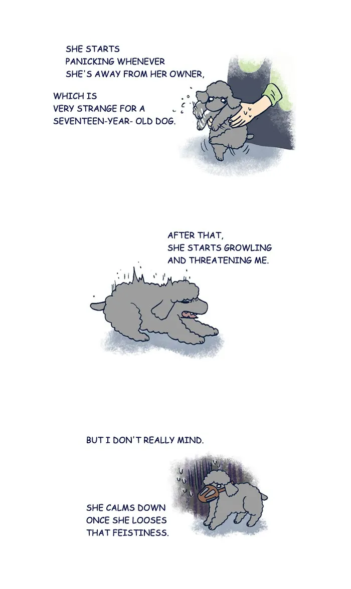 My Kitty and Old Dog Chapter 206 page 3 - 