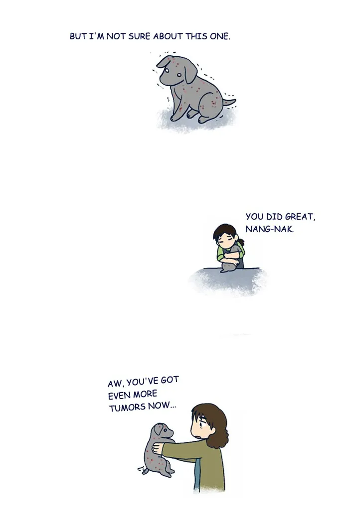 My Kitty and Old Dog Chapter 206 page 5 - 